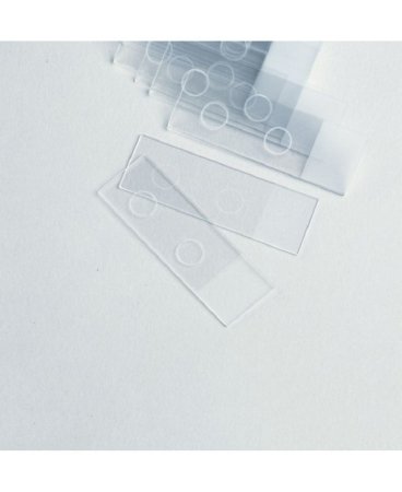 Picture of Microscope Slide 25 X 75 X 1 mm Frosted EndM6177