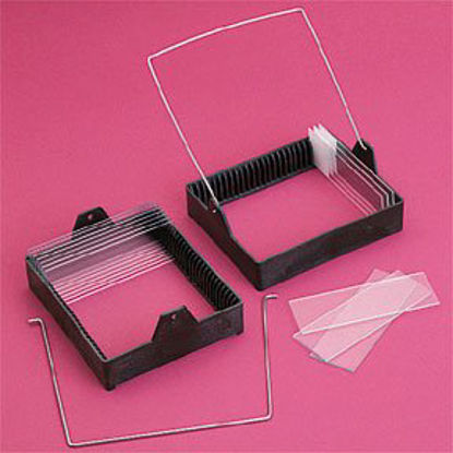 Picture of Slide Staining Rack Tissue Path™ 25 Slide Capacity22025587