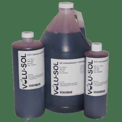 Picture of Hematoxylin Stain (Gill 2) 1 gal.VBH-128