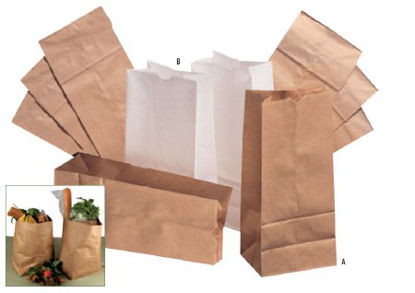 Picture of Grocery Bag General Brown Kraft Paper #10BAGGK10500