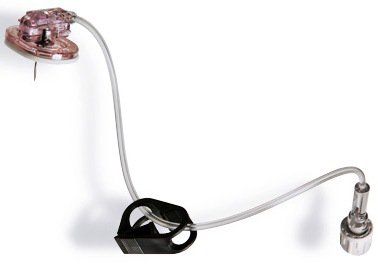 Picture of Huber Infusion Set SafeStep® 19 Gauge 1/2 Inch Without PortLH-0039