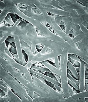 Picture of Separator Depth Filter 47 mm dia.97015-514