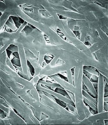 Picture of Separator Depth Filter 47 mm dia.97015-514