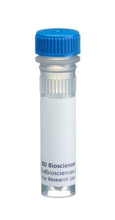 Picture of Immunology Reagent BD Pharmingen™ Purified Mouse Anti-Human P16 Monoclonal Antibody 31.25 µg / mL 1 mLBDB550834