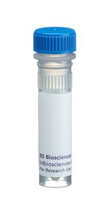 Picture of Immunology Reagent BD Pharmingen™ Purified Mouse Anti-Human P16 Monoclonal Antibody 31.25 µg / mL 1 mLBDB550834