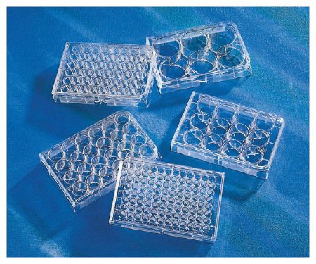 Picture of Multiwell Cell Culture Plate Costar™ Polystyrene09761146