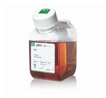Picture of Culture Media Gibco® Fetal Bovine Serum Beige Liquid26140079
