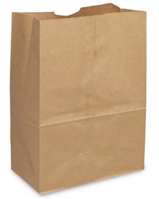 Picture of Grocery Bag General Brown Kraft Paper 1/6 BBLBAGSK1652