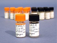 Picture of Homeostasis Control S.A.C.-1 Multiple Analytes Normal Level 10 X 1 mL5301