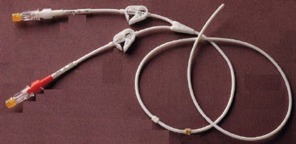 Picture of Hemodialysis Catheter Hickman® Hickman 12 Fr. Double Lumen0600620