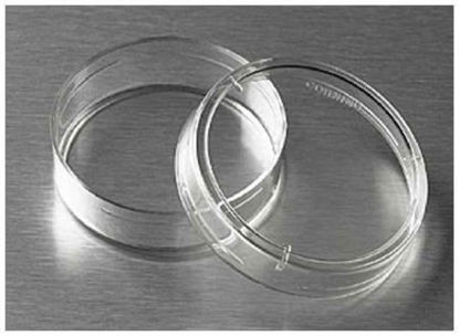 Picture of Tissue Culture Dish Corning™ Polystyrene0877220