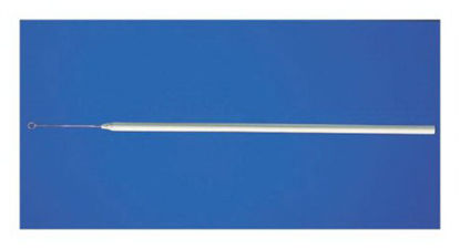 Picture of Inoculating Needle Fisherbrand™ 24 Gauge Nichrome / Aluminum Aluminum Handle Sterile13086