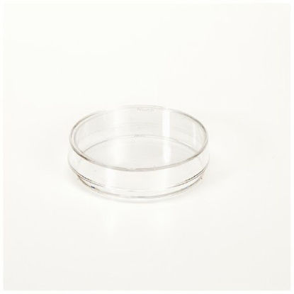 Picture of Petri Dish Nunc™ Polystyrene150288