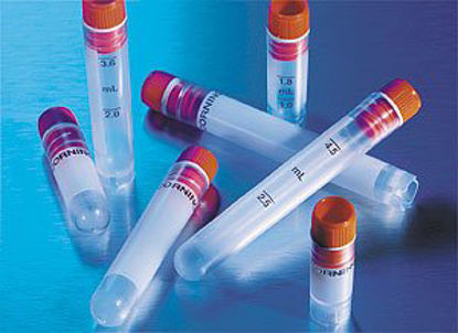 Picture of Corning® Cryogenic Tube Round Bottom Plain 12.7 X 47 mm 2 mL Orange Screw Cap Polypropylene Tube0337422