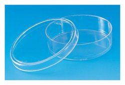 Picture of Petri Dish Thermo Scientific™ Nunc™0875728