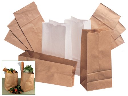 Picture of Grocery Bag General Brown Kraft Paper #25BAGGK25S500