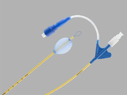 Picture of CATHETER, ENDOBRONCHIAL BLOCK ER 5FR X 50CMG44109