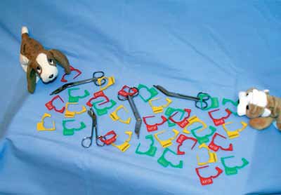 Picture of Instrument Repair Tag ProSys™ PrePrinted Red Plastic994-R