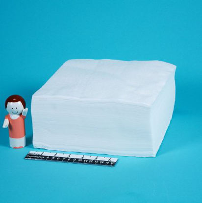 Picture of Cleanroom Wipe Health Care Logistics® ISO Class 5 White NonSterile 1 Ply Tissue 9 X 9 Inch Disposable17884