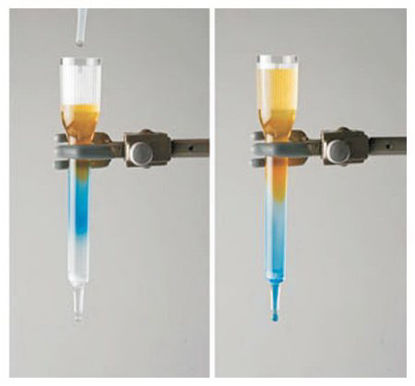 Picture of Principles of Gel Filtration Chromatography Kit Edvotek™S11108