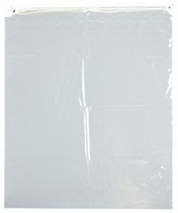 Picture of BAG, PERSONAL BELONGING CLR 15"X18" (500/CS) D/SG127