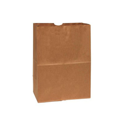 Picture of Grocery Bag Duro® Brown Kraft Paper 1/6 57 lbs.80076