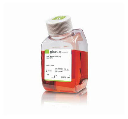 Picture of Cell Culture Reagent Gibco® Trypsin-EDTA with Phenol Red 1X 500 mL25200072