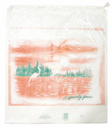 Picture of Patient Belongings Bag 18 X 20-1/2 Inch Polyethylene Drawstring Closure WhiteDS500