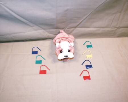 Picture of Tamper Evident Seal Snap-Loks UnNumbered Red Plastic 3/4 Inch7525 RD