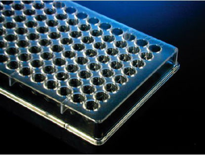 Picture of 96-Well Microplate V-Bottom 300 µL Clear NonSterile120130