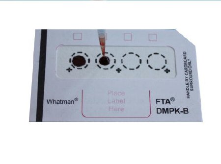 Picture of Sample Collection Card FTA® DMPK-C 100 Cards For Research OnlyWB129243
