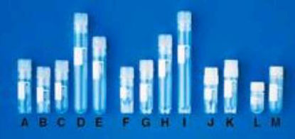 Picture of Nunc™ Cryogenic Tube Round Bottom Plain 12.5 X 91 mm 4.5 mL Without Color Coding Screw Cap Polypropylene Tube12565173N