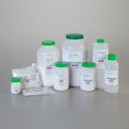 Picture of Biochemical Potato Starch Laboratory Grade 100% 500 Gram470302-752