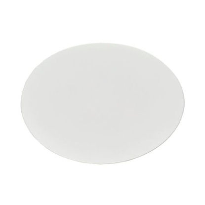 Picture of Filter Membrane Nalgene™ 0.45 µm Pore Size, 47 mm Outer Diameter, White For use with Particulate and Microbial AnalysisDS0215-4045