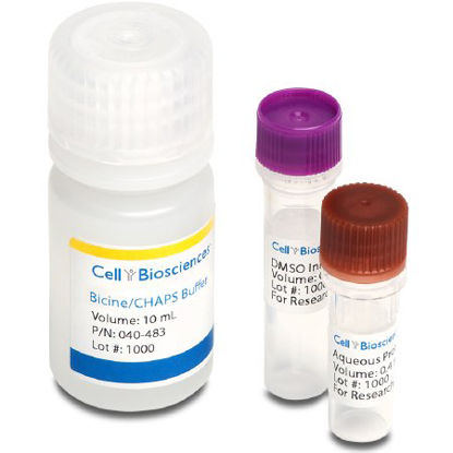 Picture of Reagent Kit ProteinSimple™ General Chemistry Bicine / CHAPS Buffer For Charge Assays 10 mLNC09025529