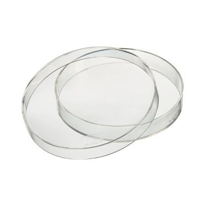 Picture of Petri Dish Thermo Scientific™ Nalgene™ Polymethylpentene5500-0010