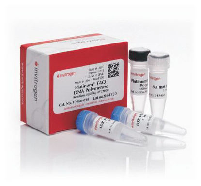 Picture of PCR Reagent Invitrogen™ Platinum™ Taq DNA Polymerase PCR Enzyme Proprietary Mix 600 Reactions10-966-034