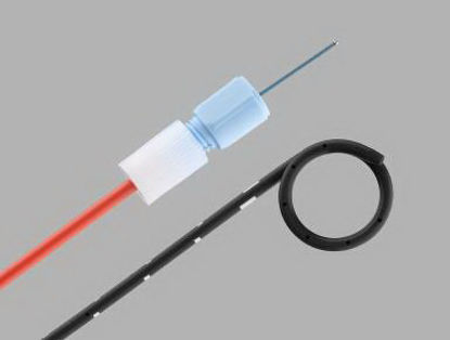 Picture of Ureteral Stent Cook® Double Pigtail 7 Fr. 26 cm SiliconeG15124