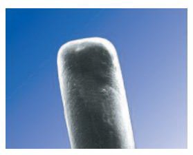 Picture of Intracanalicular Plug Softplug® Collagen 0.4 X 2 mm6504