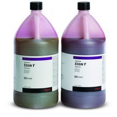 Picture of Eosin Y Stain 1% Alcoholic 4 Liter6766008