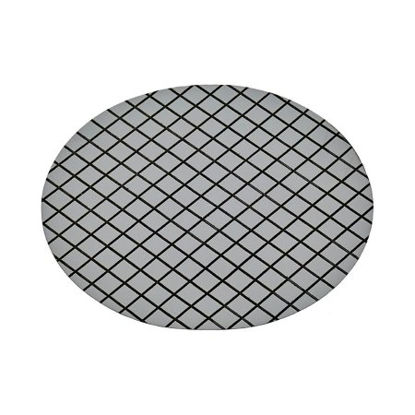 Picture of Filter Membrane Nalgene™ Water Quality, 0.45 µm Membrane, 47 mm Diameter, Gray For the Bacteriological Analysis of Potable, Waste and Natural Waters in accordance with the Membrane Filtration Procedures referenced in Standard Methods for the Examination of Water and WastewaterDS0205-6045