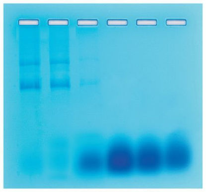 Picture of Gel Filtration Chromatography Educational Kit Edvotek™S05639