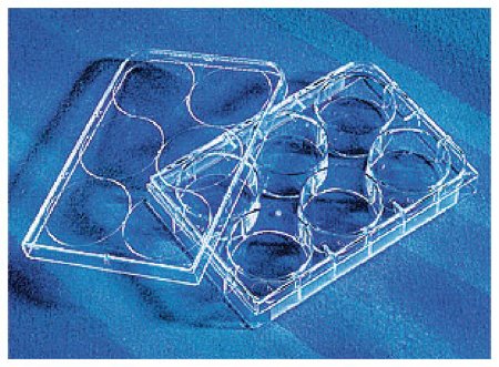 Picture of Multiwell Cell Culture Dish CellBind™ Polystyrene08-757-214