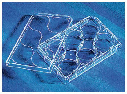 Picture of Multiwell Cell Culture Dish CellBind™ Polystyrene08-757-214