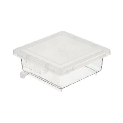 Picture of Staining Box Nalgene™ 2 X 5 X 5 Inch For use with Electrophoresis Gels and Membranes5705-1010
