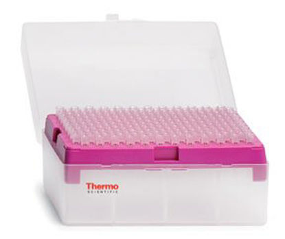 Picture of Pipette Tip Finntip™ 2 to 10 mL Without Graduations NonSterile2137752