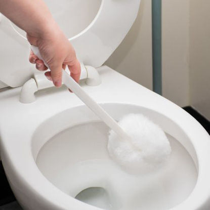 Picture of Bowl Brush ACS ContouredB222