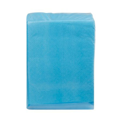 Picture of Underpad McKesson 22 X 24 Inch Disposable Fluff Light Absorbency18-16661