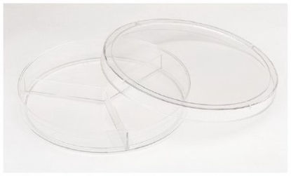 Picture of Petri Dish Fisherbrand™ PolystyreneFB087583
