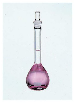 Picture of Flask Pyrex™ Standard Glass 100 mL10210C